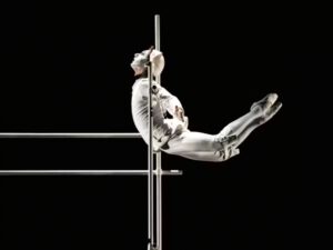 A dancer dressed all in white with white hat swings from the top rung of a white scaffold tower against a black background